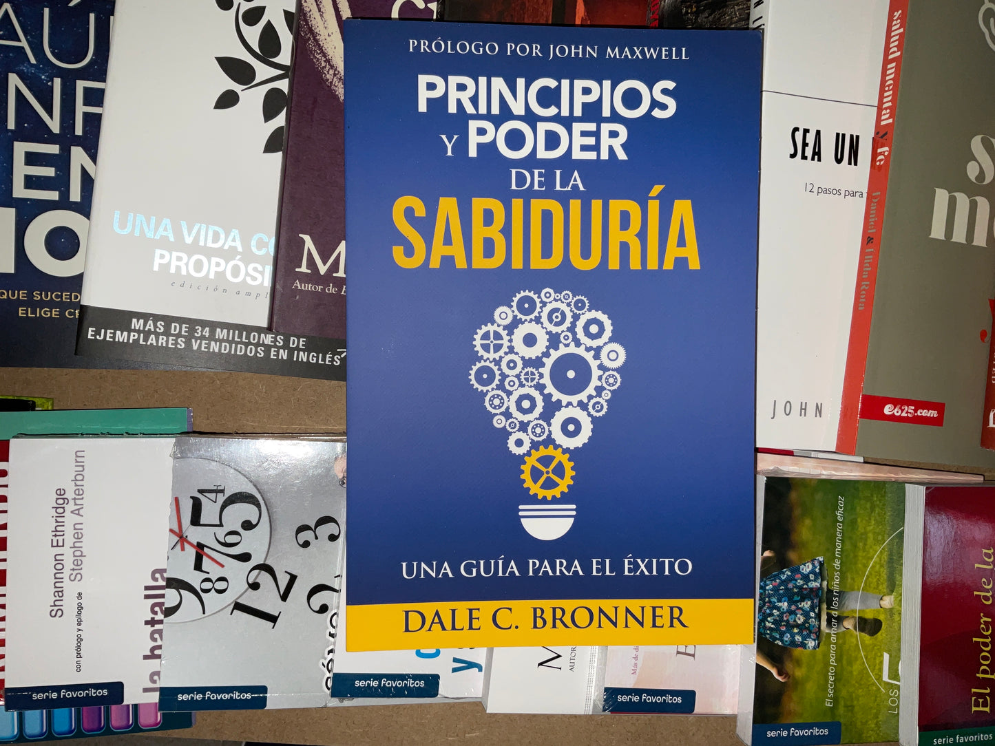 Principios y poder de la sabiduría de DALE C. BRONNER