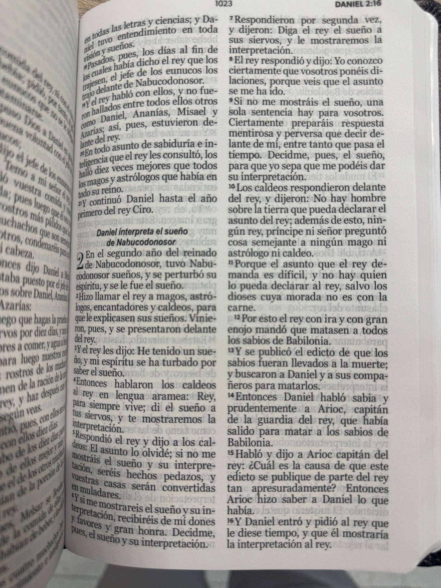 Biblia RVR 1960 Leon Letra Grande