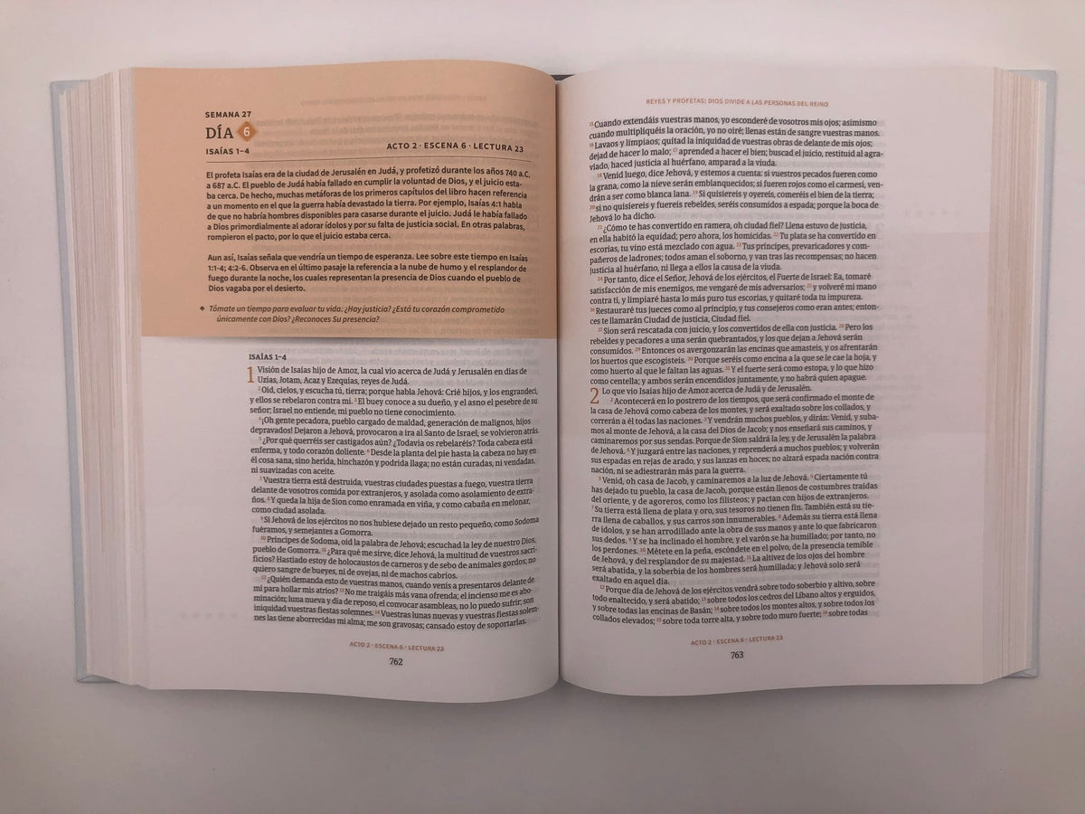 Biblia cronológica RVR 1960, Día por día tapa dura