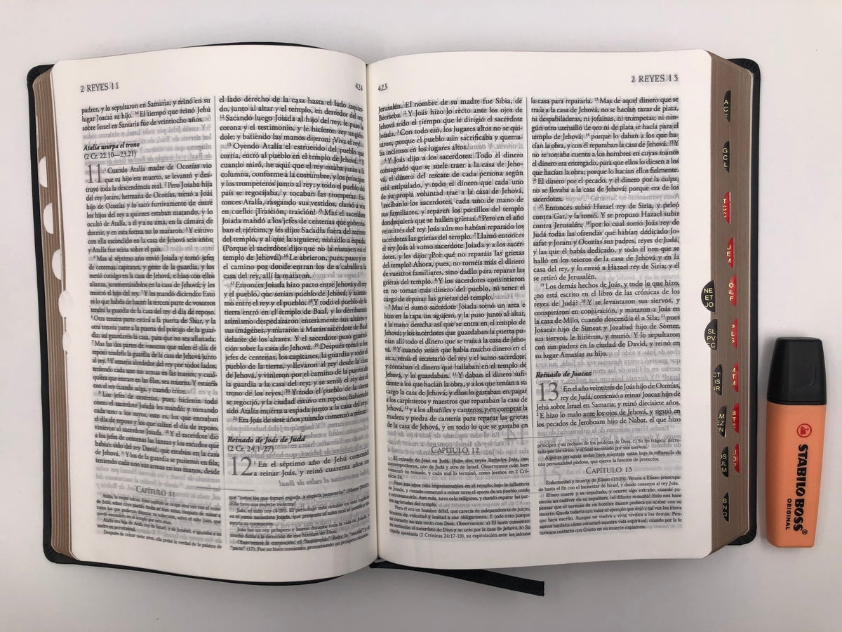 Biblia RVR 1960 de Estudio Explicada Marrón