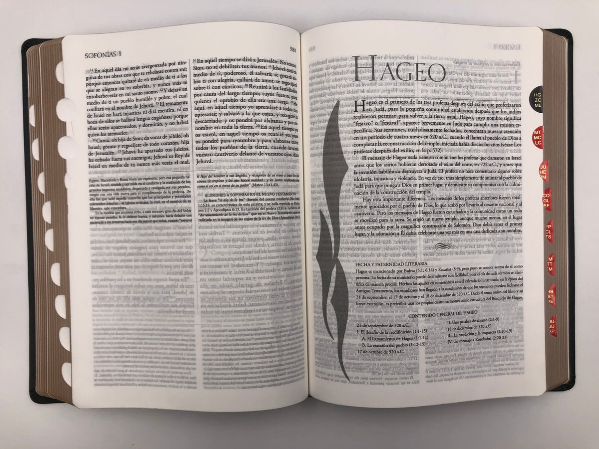 Biblia RVR 1960 de Estudio Explicada Marrón