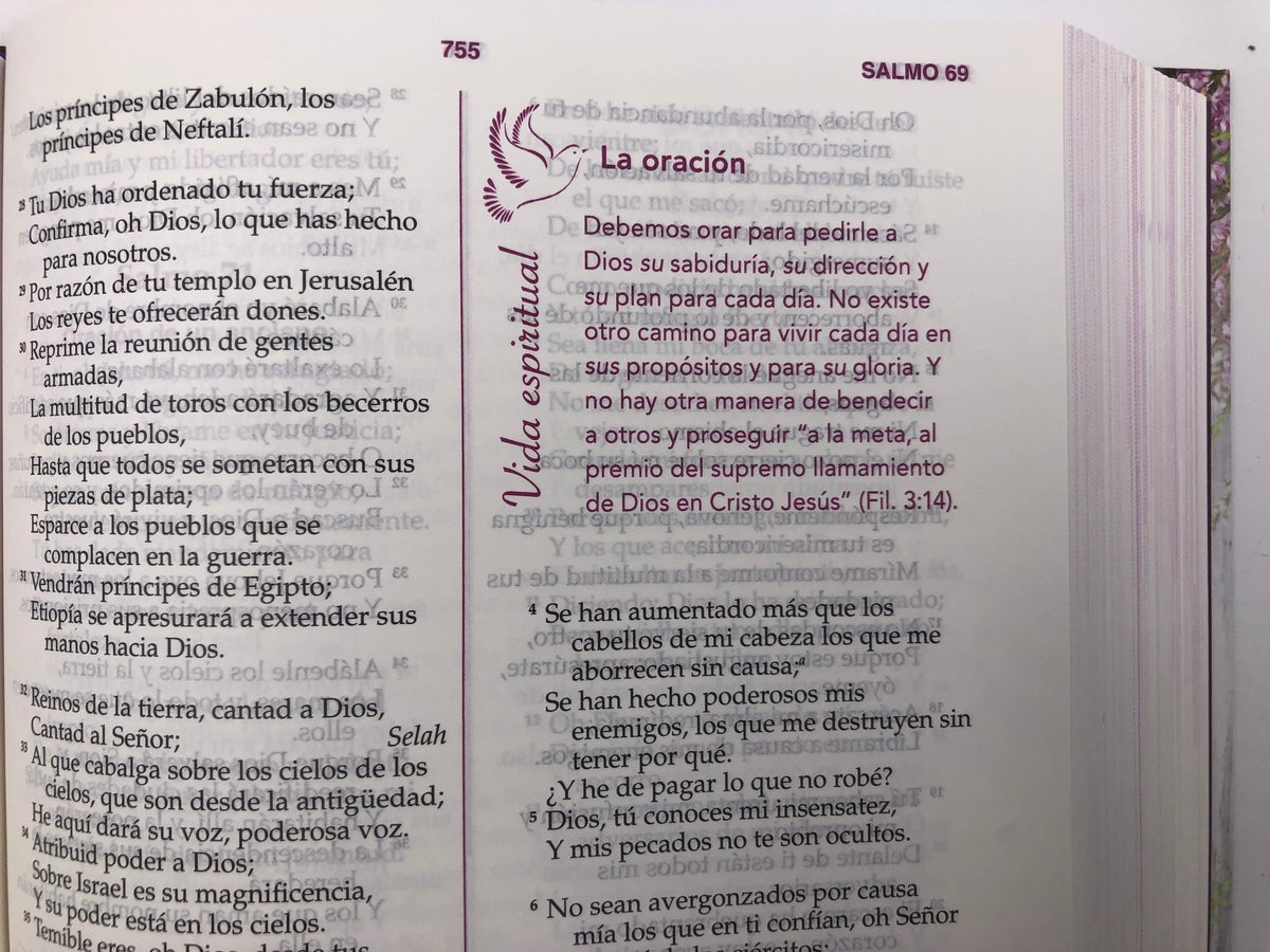 Biblia La mujer conforme al corazón de Dios RVR60 Tapa Dura