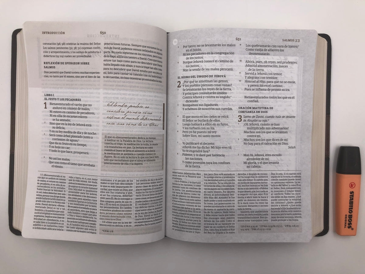 Biblia de Estudio Spurgeon RVR60 piel