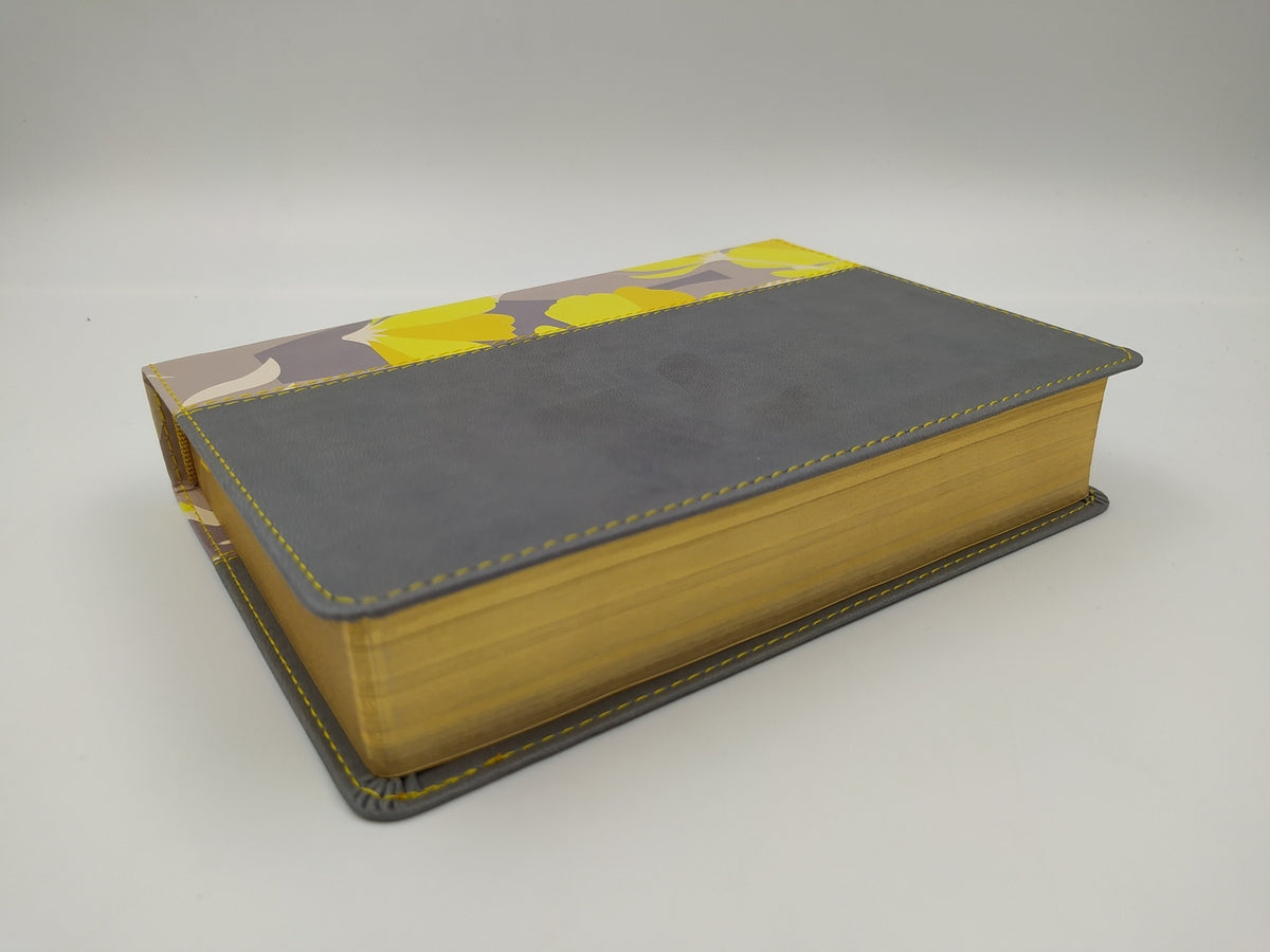 Biblia NTV Letra Grande Compacta