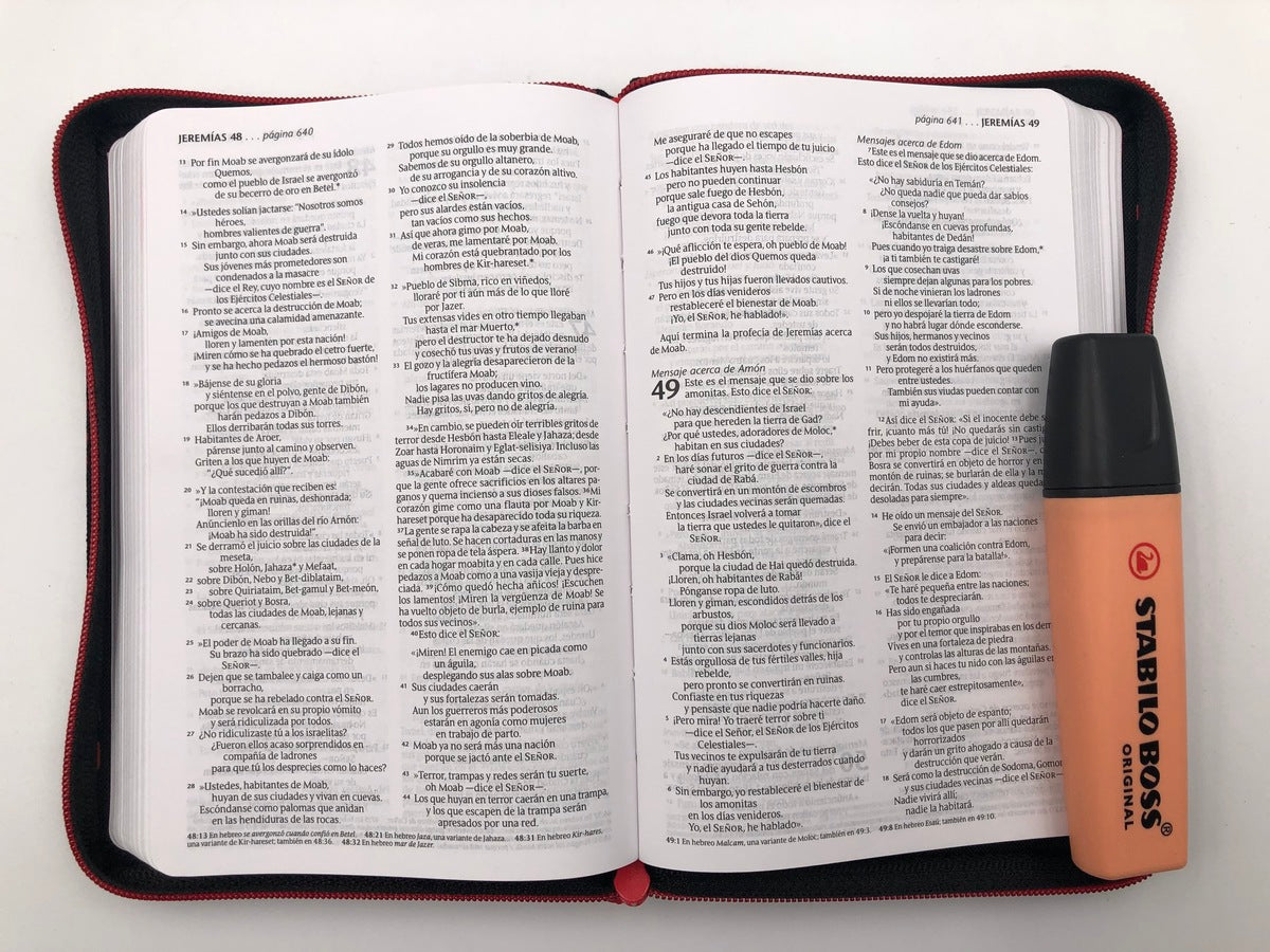 Biblia NTV Compacta Letra Grande