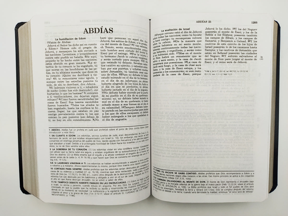 Biblia de estudio Vida Plena RVR60 piel