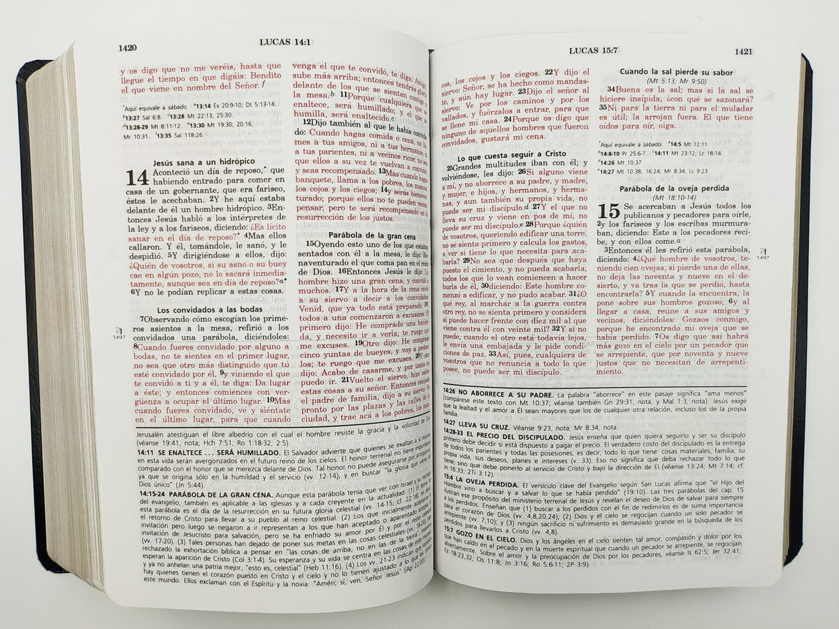 Biblia de estudio Vida Plena RVR60 piel