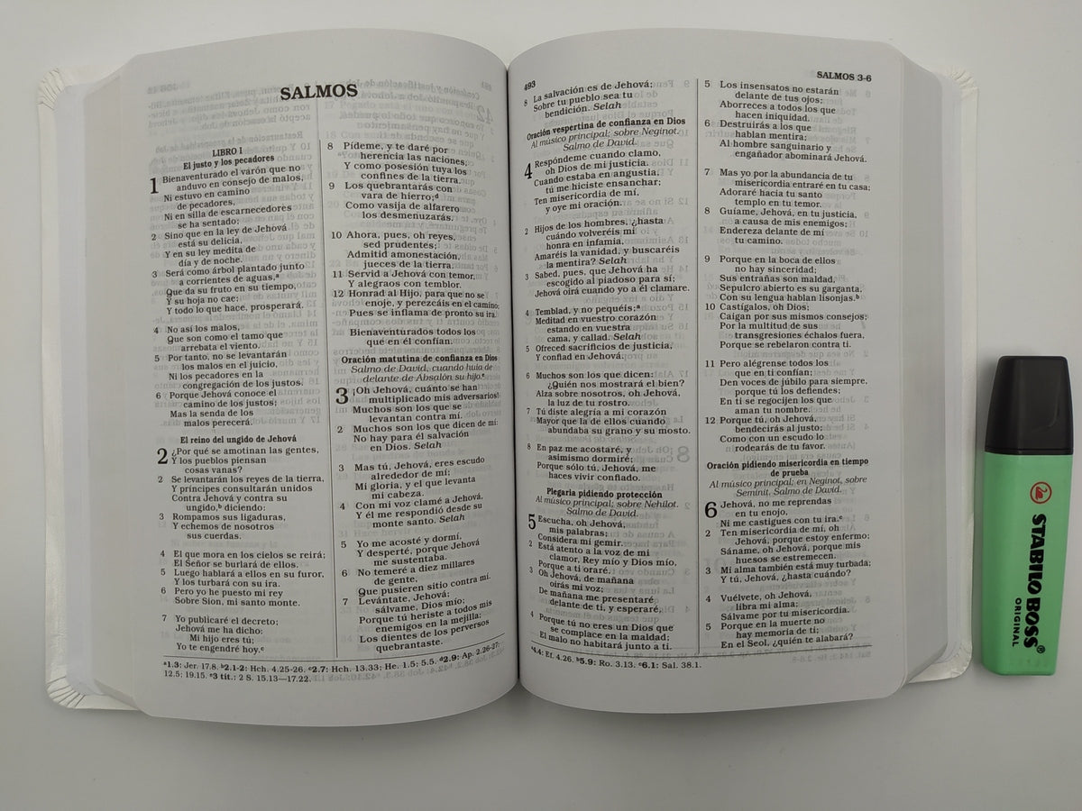 Biblia Manual