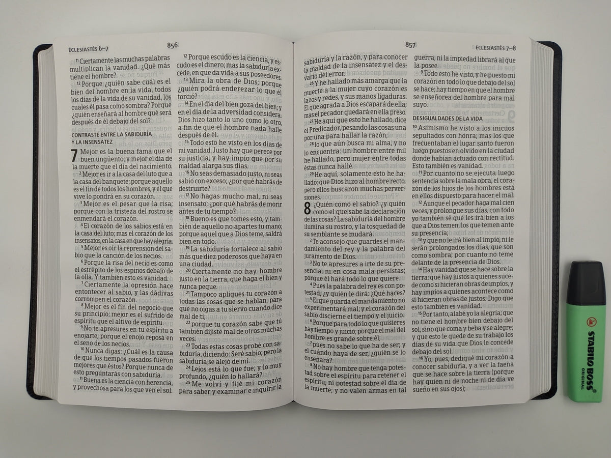 Biblia RVR 1960 Letra Super Gigante