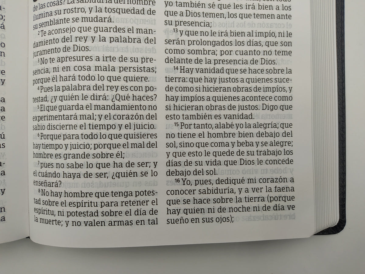 Biblia RVR60 Letra Súper Gigante negro