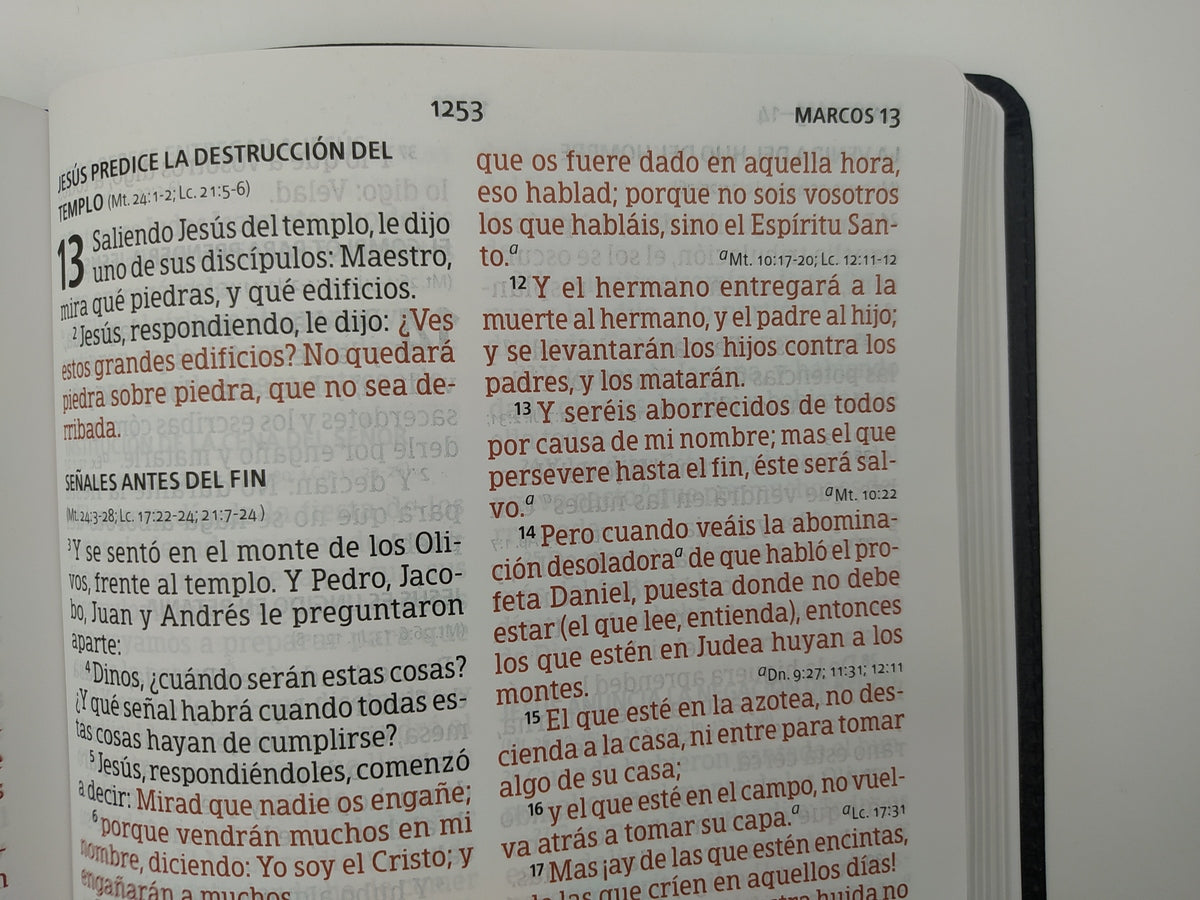 Biblia RVR60 Letra Súper Gigante negro