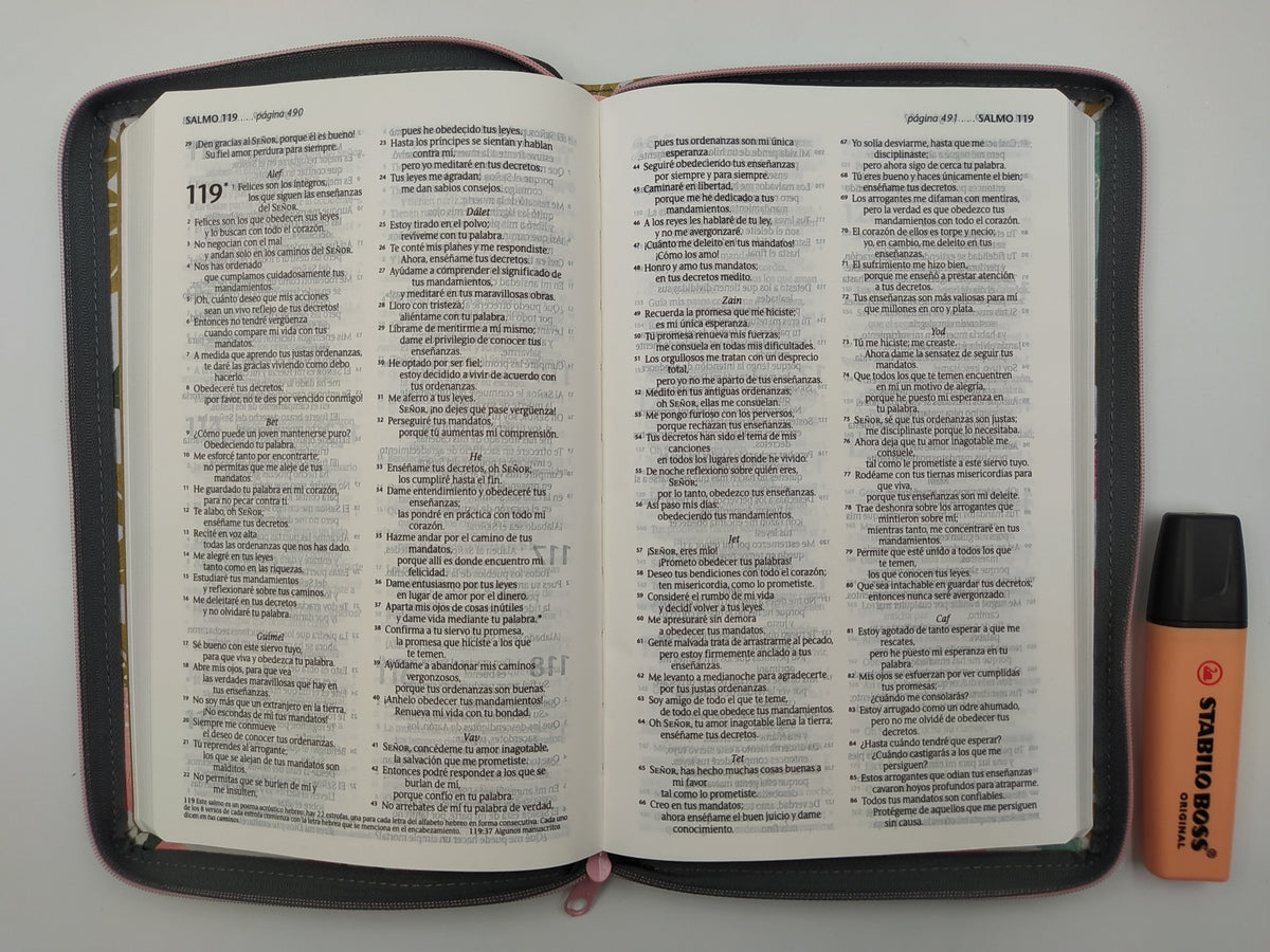 Biblia NTV tela edición cierre