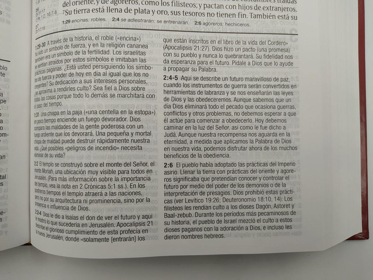 Biblia RVR 1960 de Estudio Diario Vivir Letra Grande