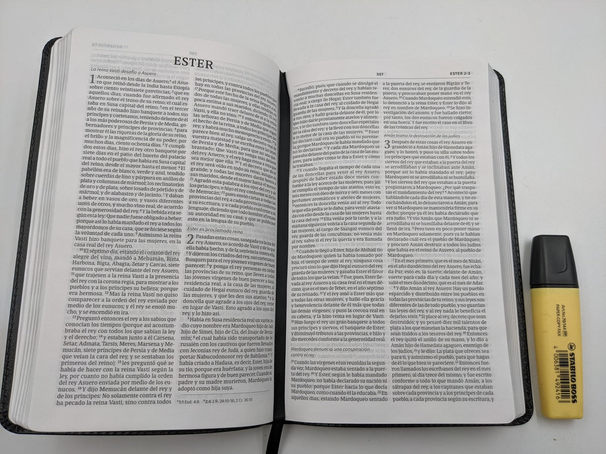 Biblia RVR60 Ultrafina Piel fabricada