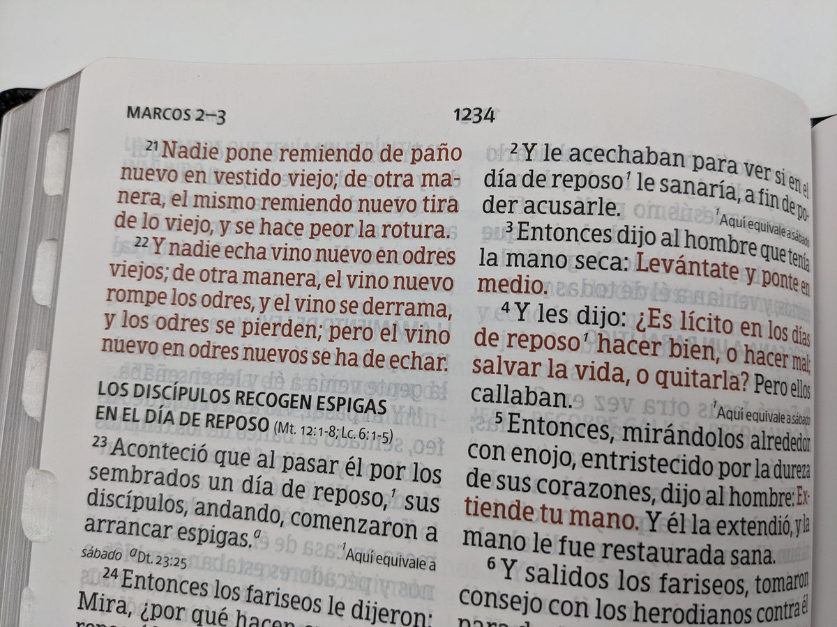 Biblia Letra Gigante con referencia RVR 1960