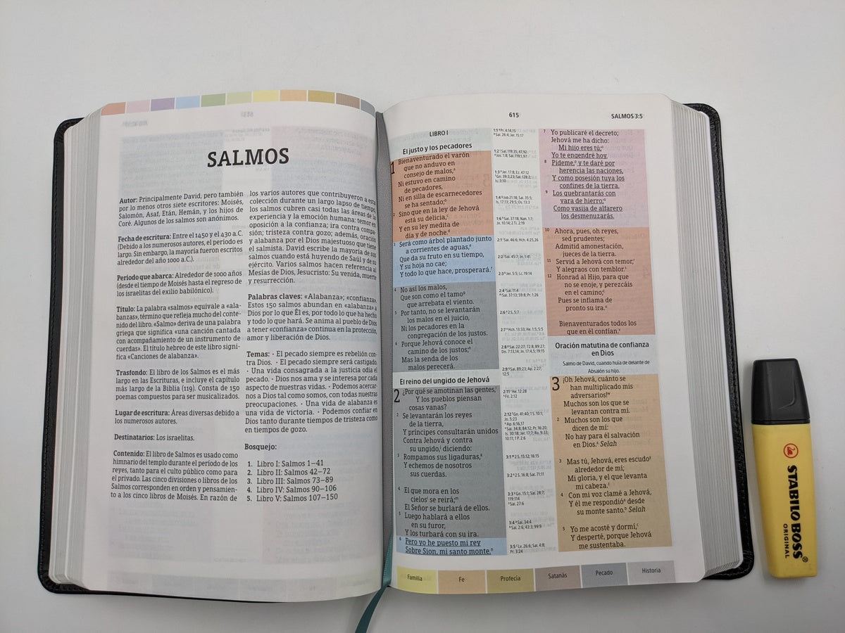 Biblia RVR 1960 de Estudio Arco Iris Negro