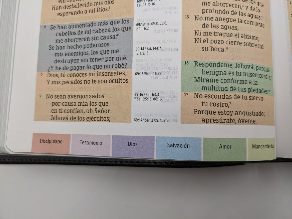 Biblia RVR 1960 de Estudio Arco Iris Negro