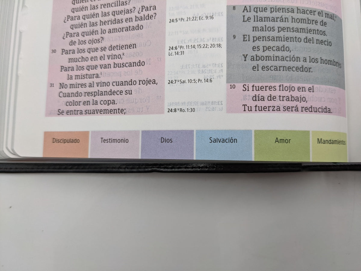Biblia de estudio Arcoiris RVR60