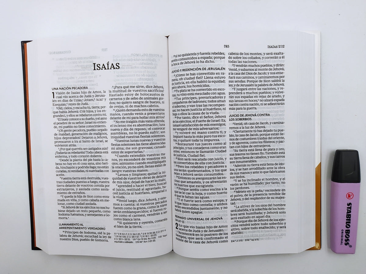 Biblia RVR 1960 Letra Grande Tapa Dura el León