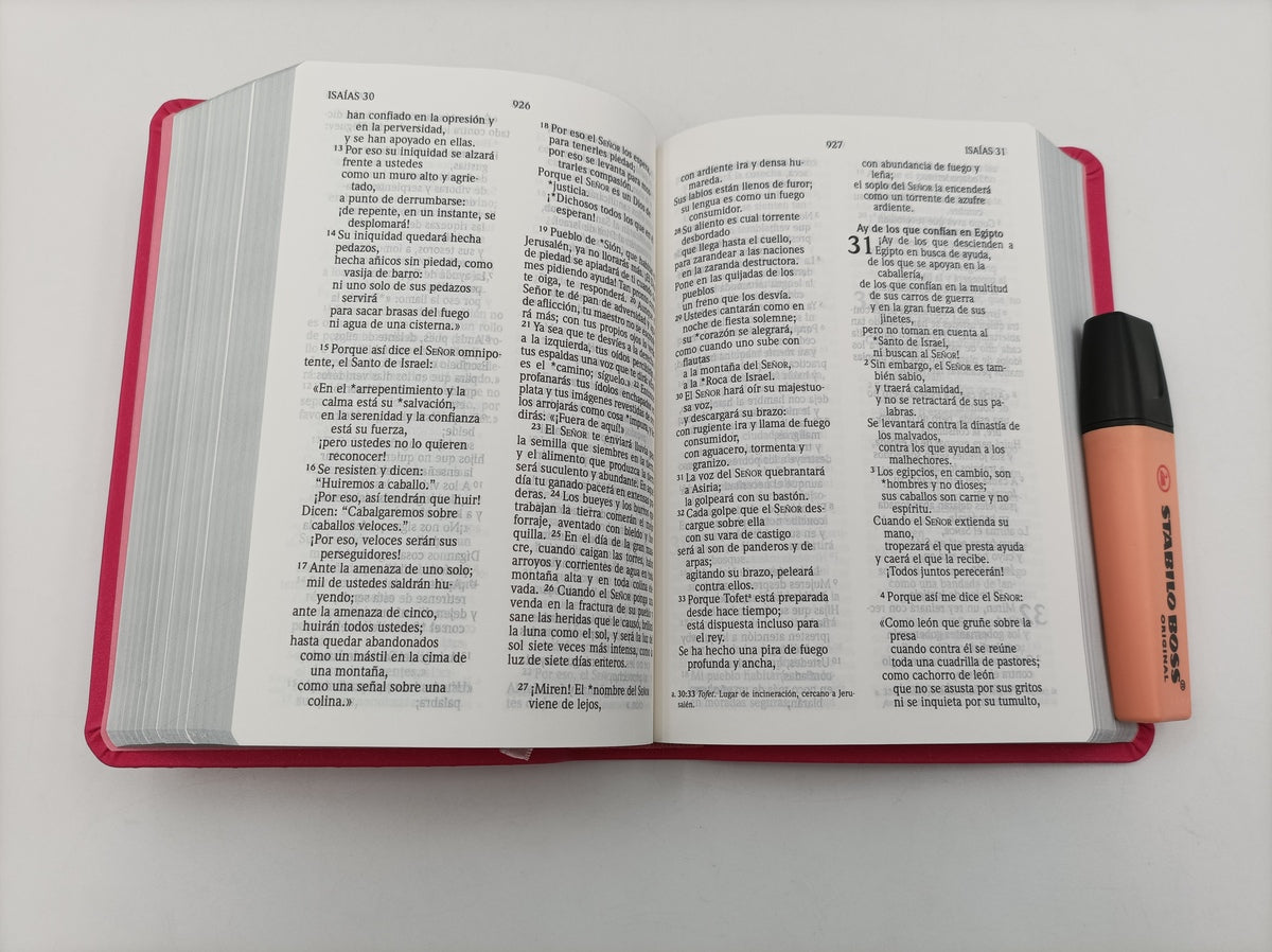 Biblia Compacta Letra Grande