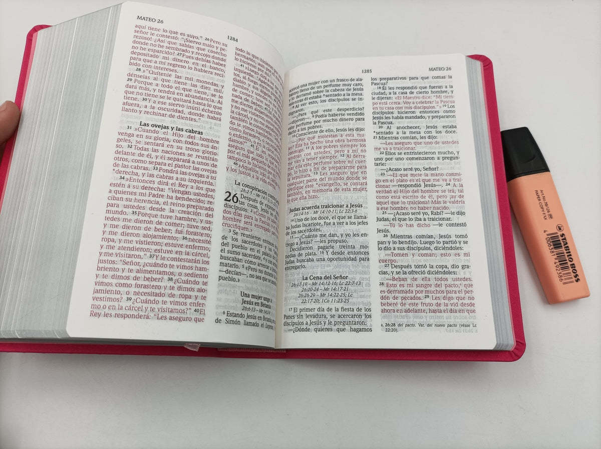 Biblia Compacta Letra Grande