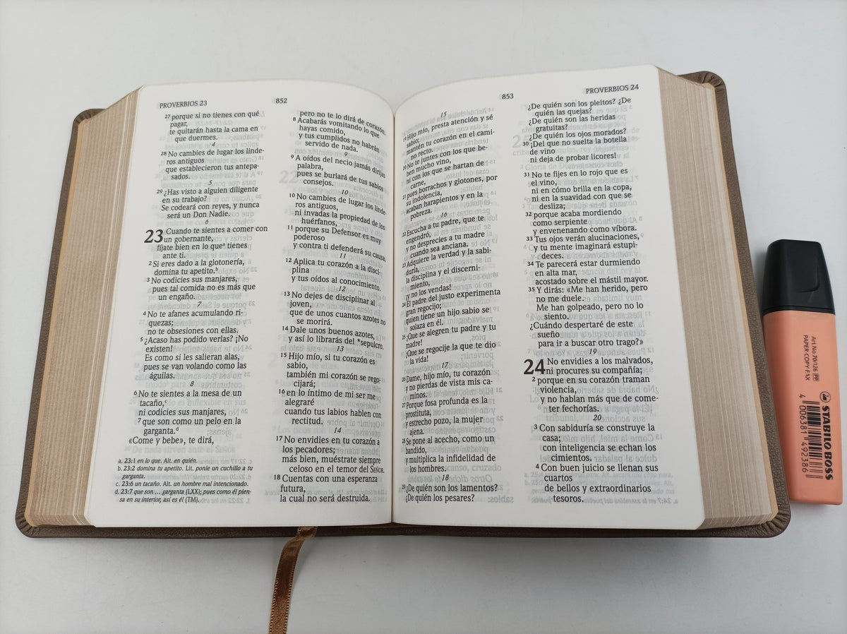 Biblia NVI letra grande compacta marrón