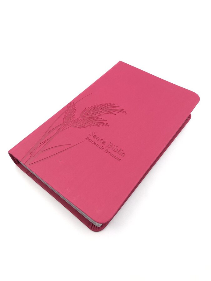 Biblia de Promesas RVR60 tamaño manual letra grande
