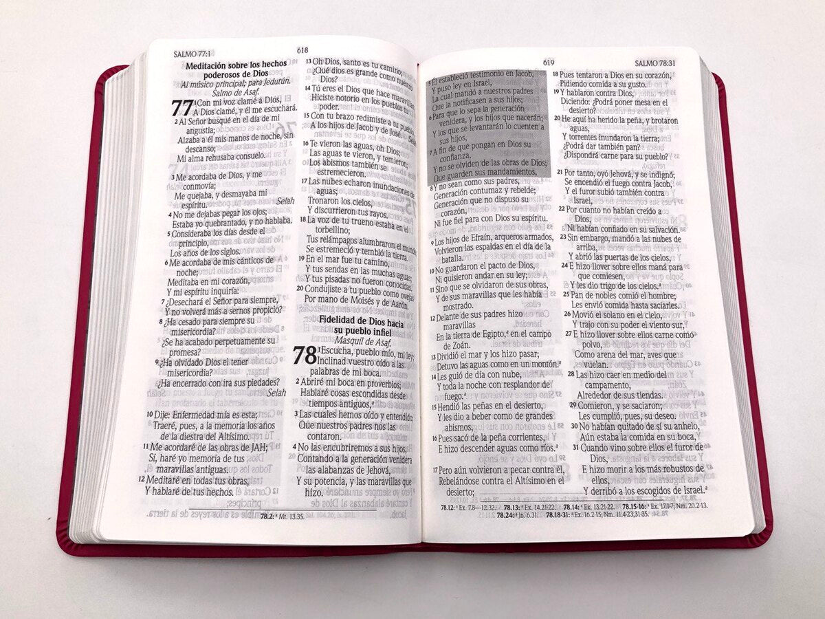 Biblia de Promesas RVR60 tamaño manual letra grande