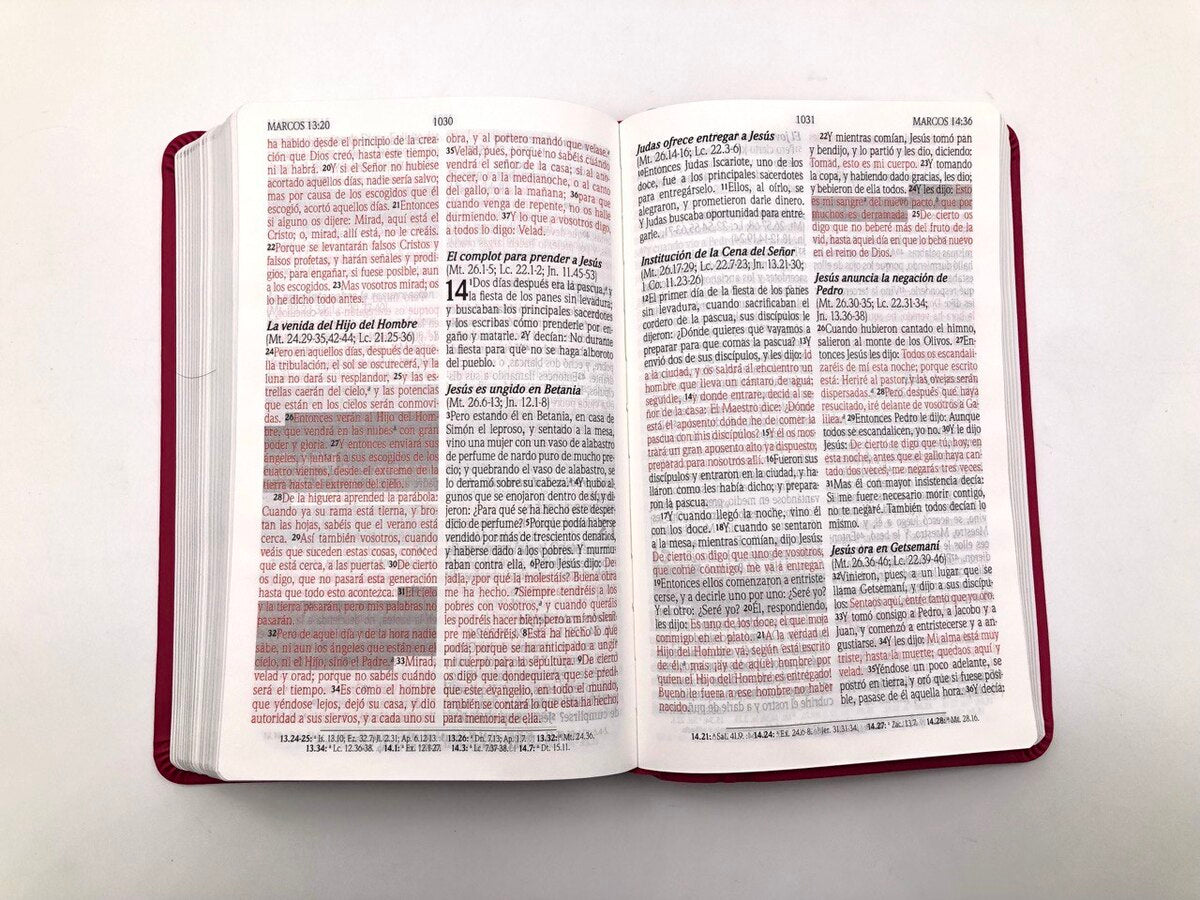 Biblia de Promesas RVR60 tamaño manual letra grande