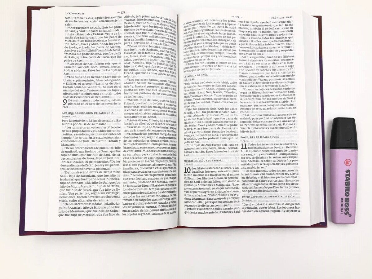 Biblias Dios Habla Hoy