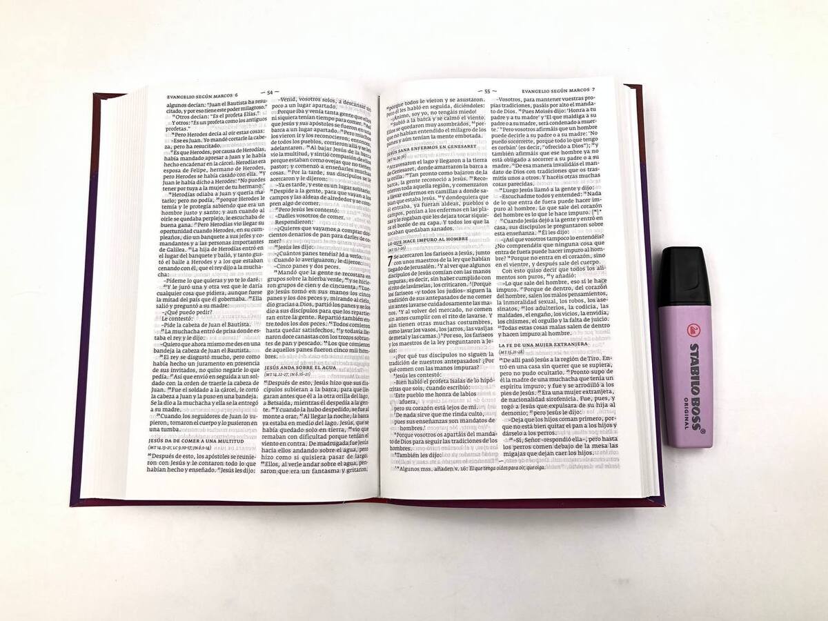 Biblias DIOS HABLA HOY