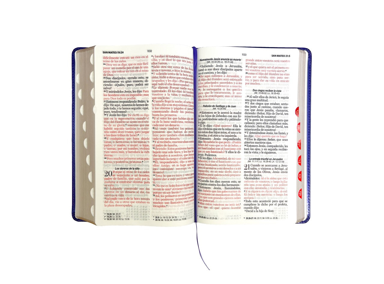 Biblia RVR60 Tamaño Manual Letra Grande