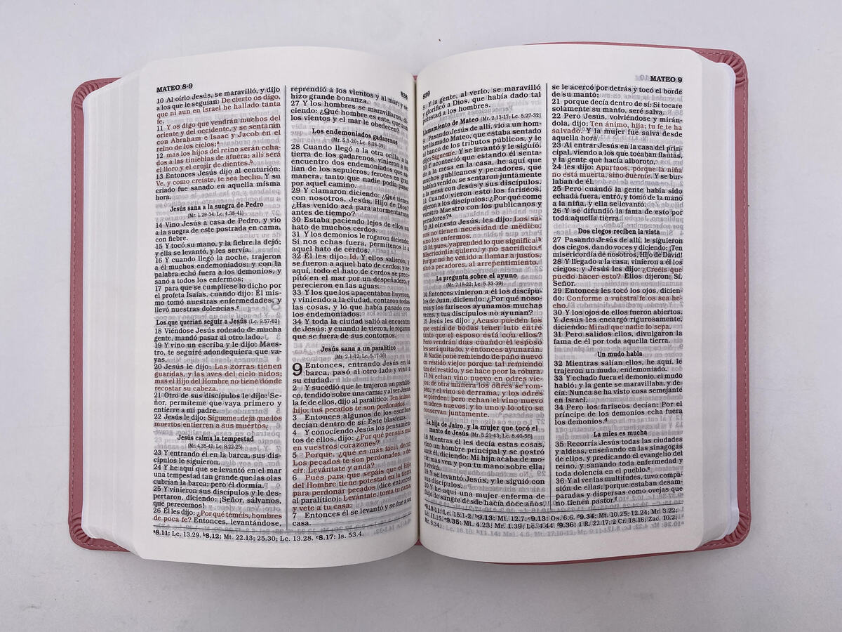 Biblia de regalos y premios. Imitación piel Rosa