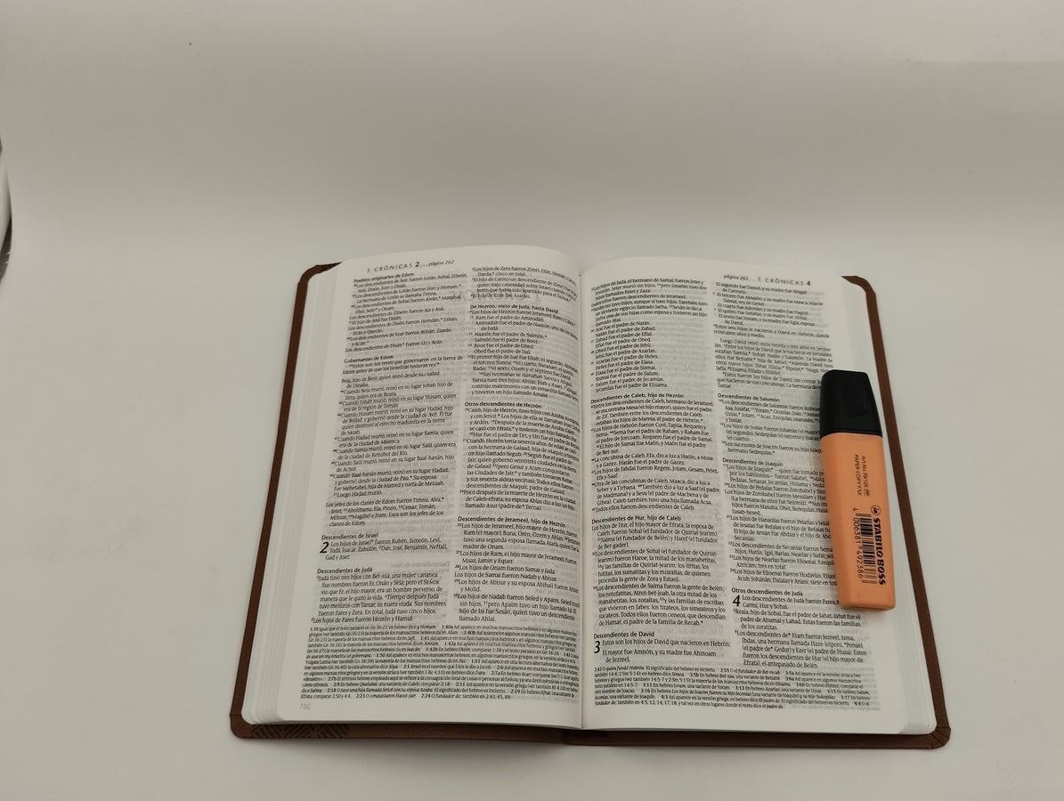Biblia Manual NTV marron