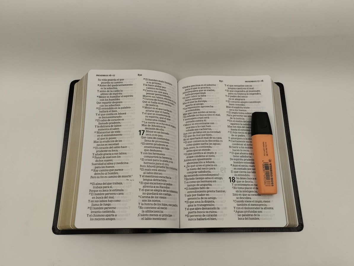 Biblia RVR 1960 Letra Grande Tamaño Manual Negro