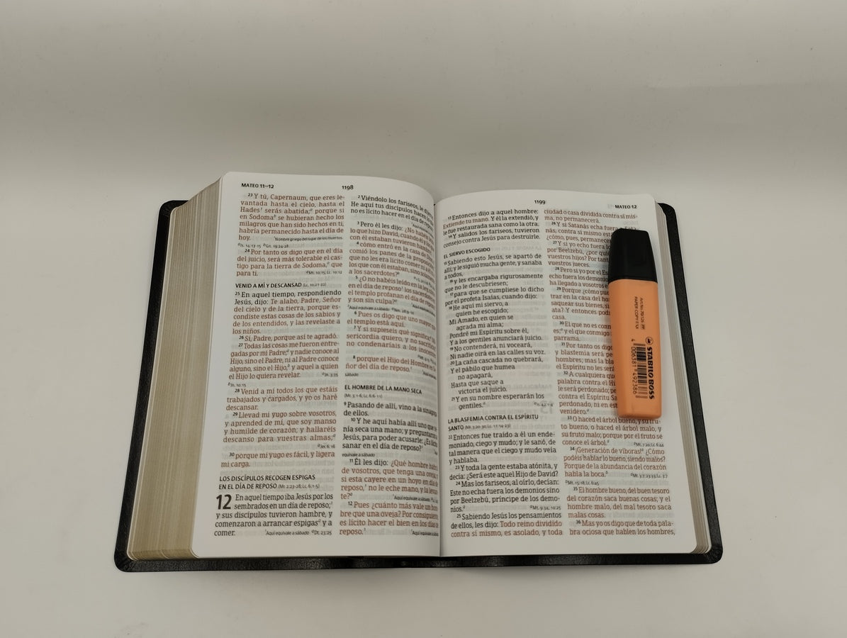Biblia RVR60 Tamaño manual Letra Grande