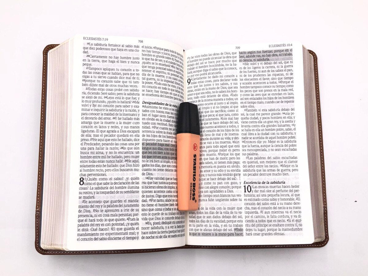 Biblia de promesas Manual Letra grande