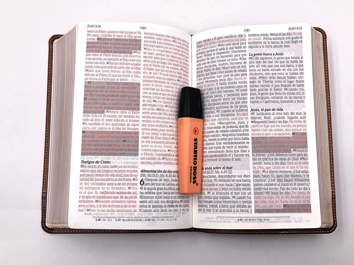 Biblia de promesas Manual Letra grande