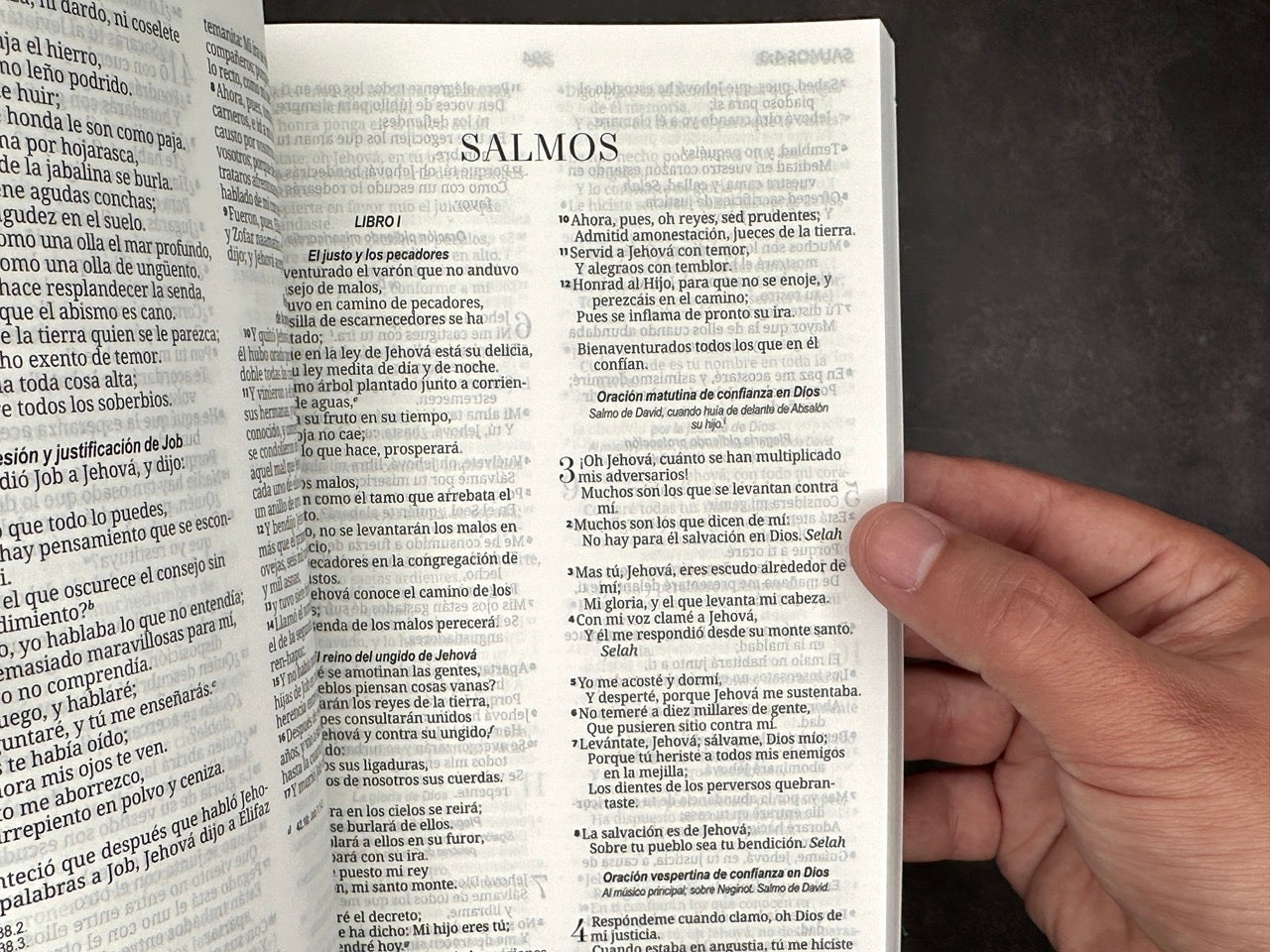 Biblia Misionera RVR60 economica