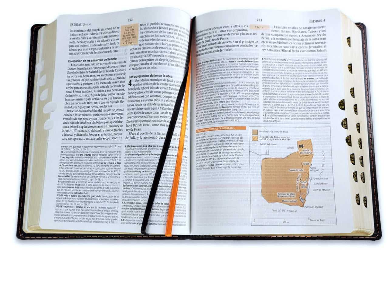 Biblia RVR 1960 de estudio teologico