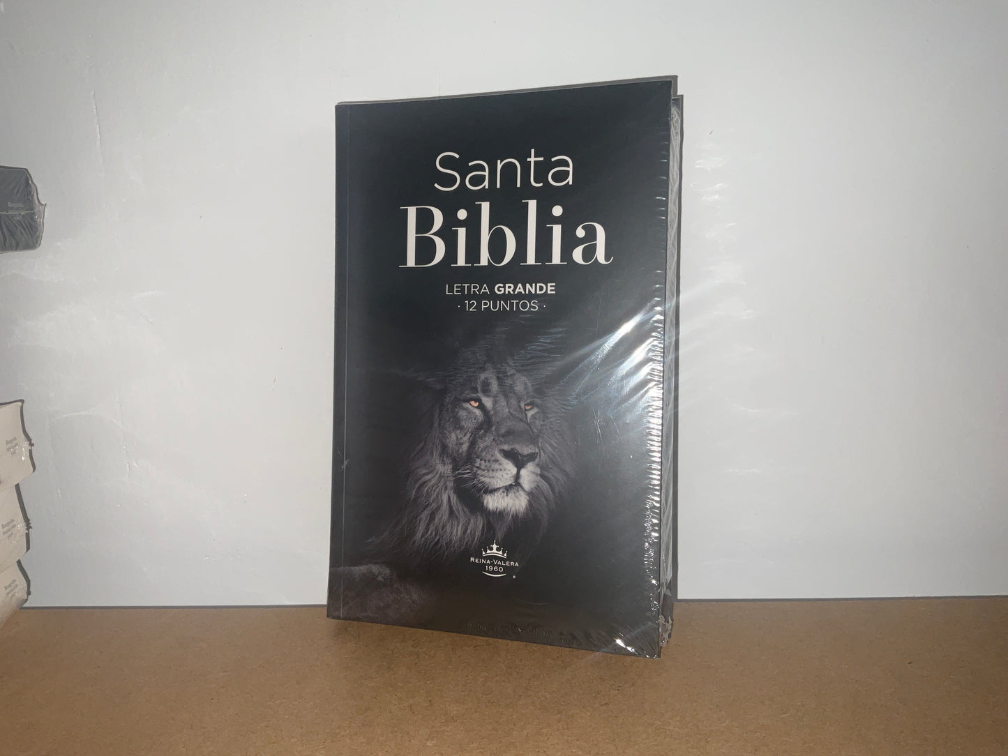 Santa biblia letra grande 12 puntos RV1960