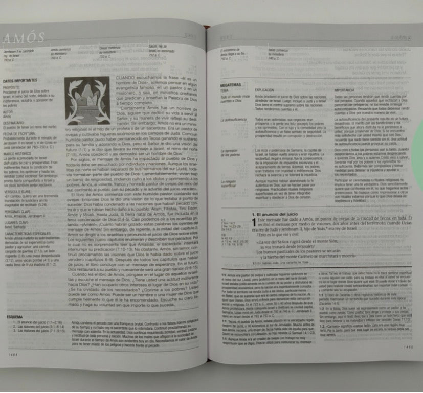 Biblia de estudio Diario Vivir NTV Letra Grande índice