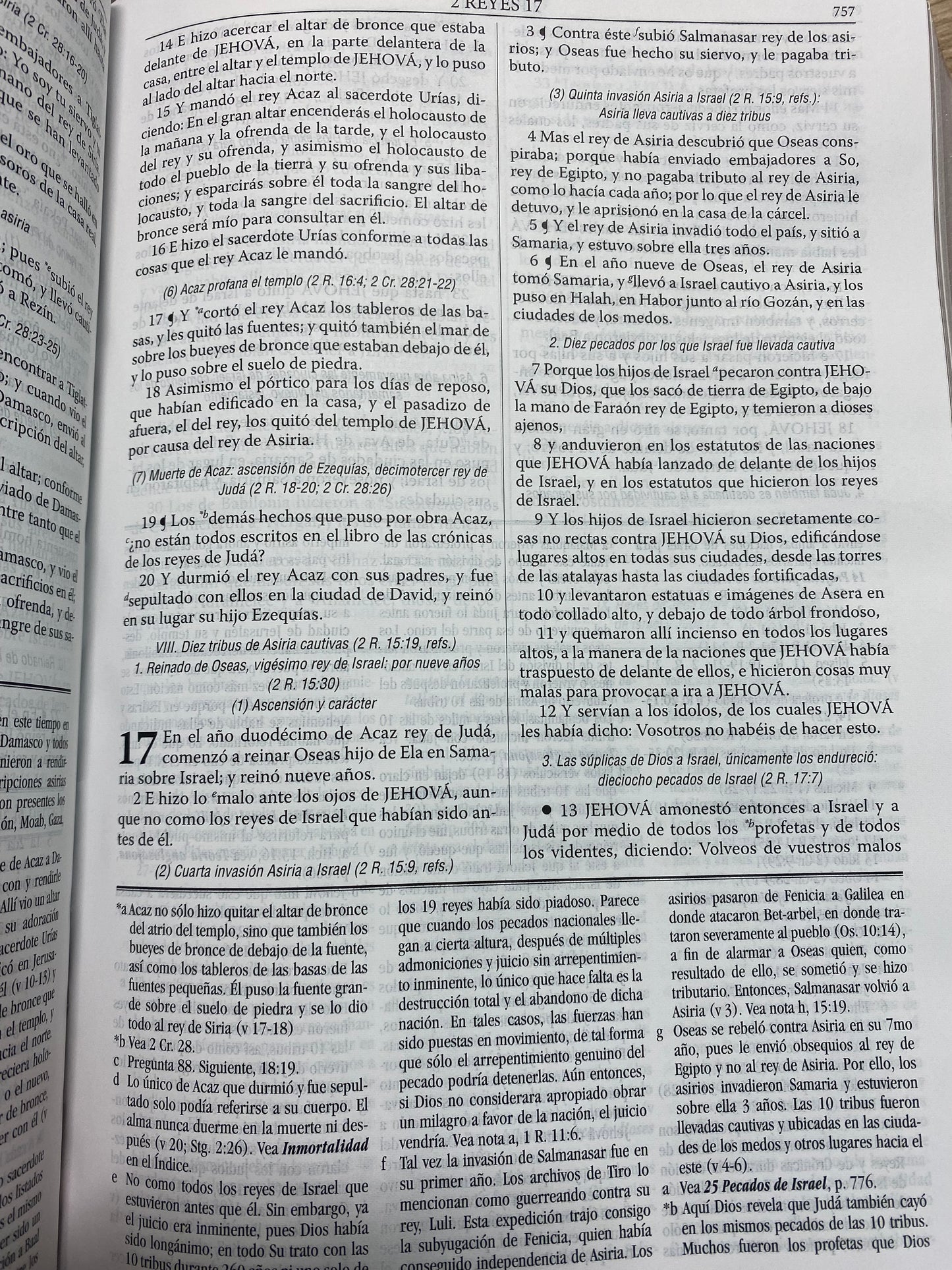 Biblia RVR 1960 De Estudio Dake marROn