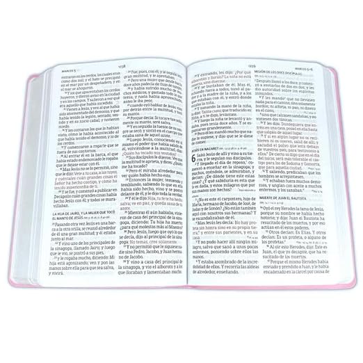 Biblia manual. Letra grande RVR 1960