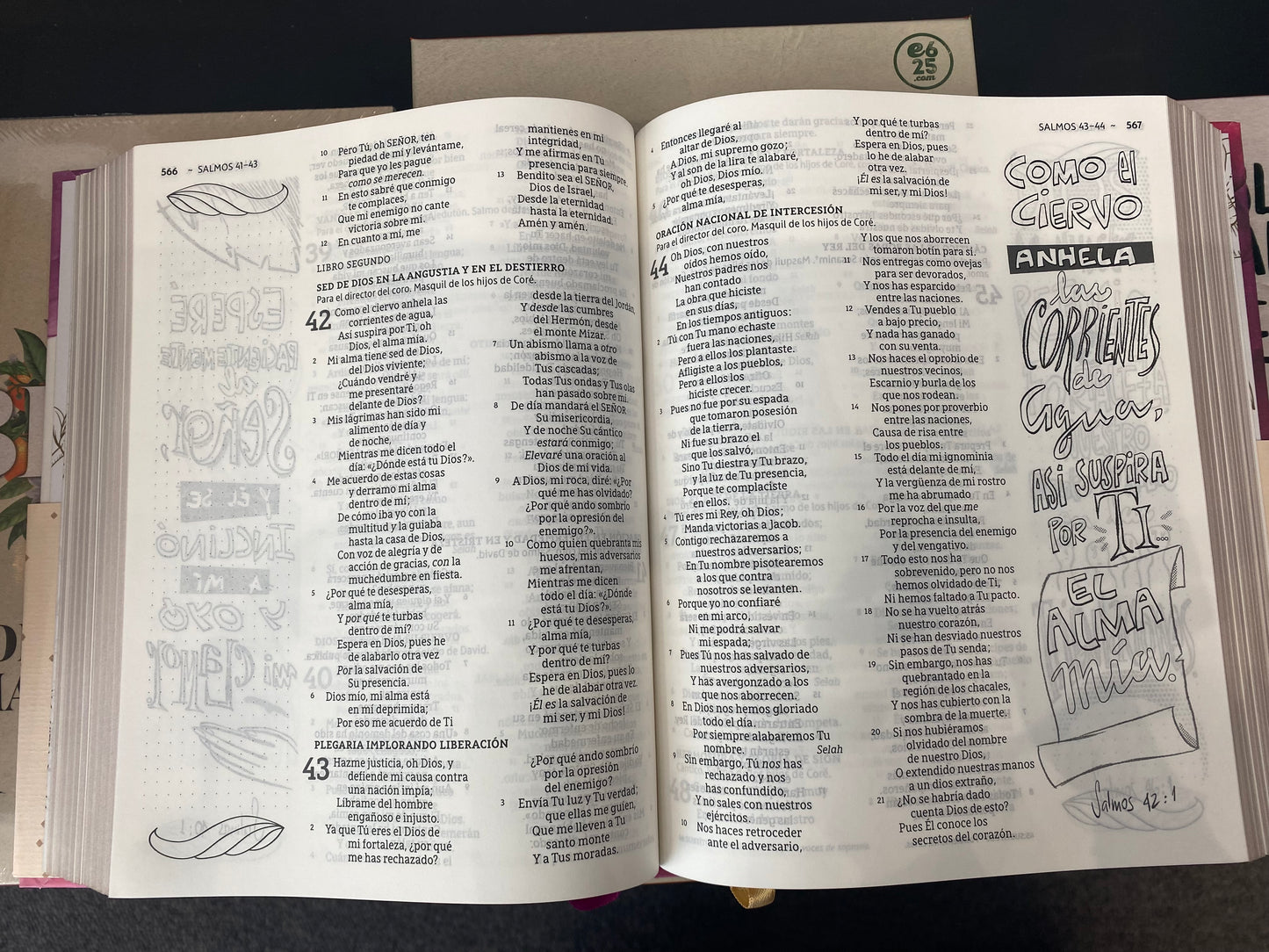 Santa biblia Edicion Artística