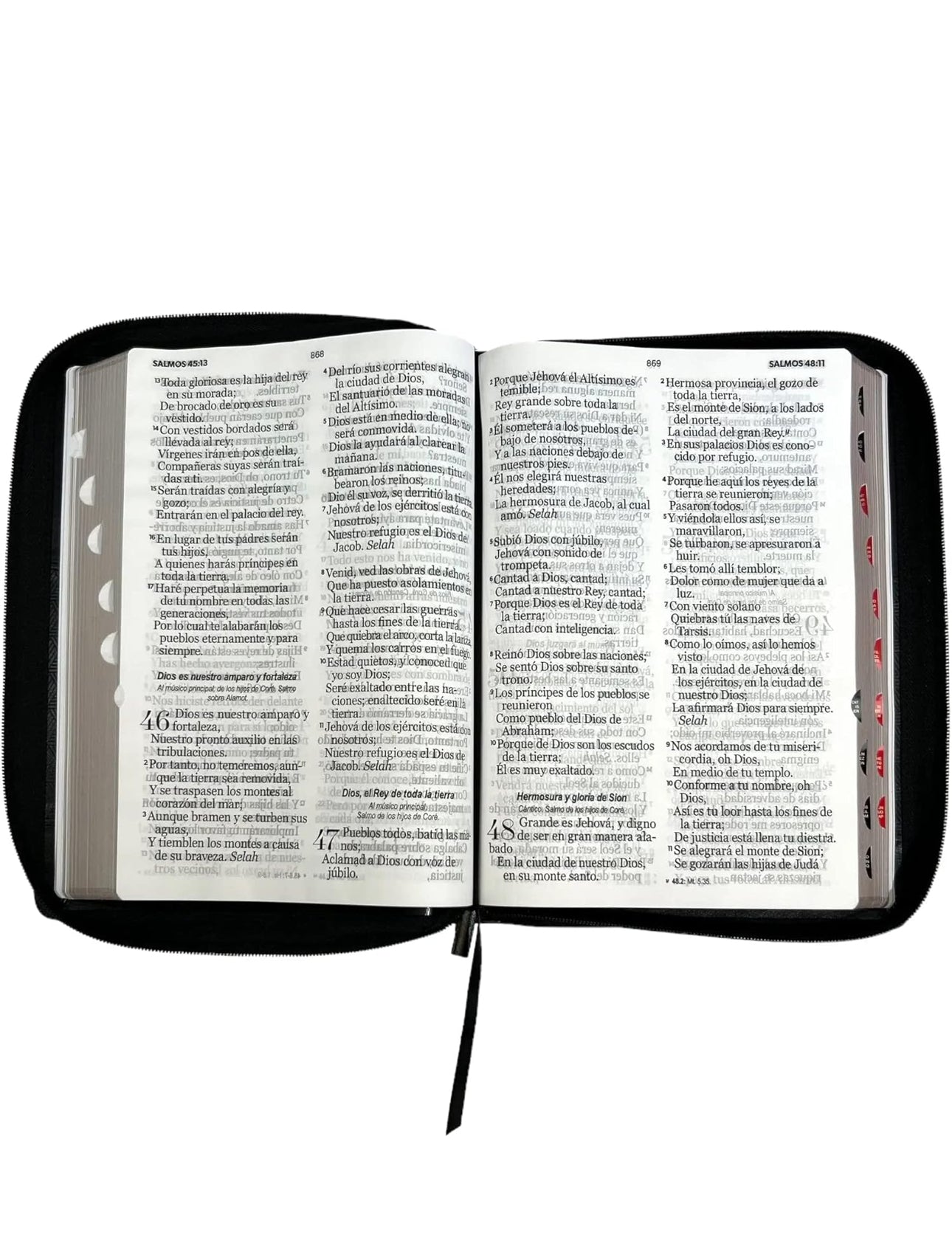 Biblia RVR 1960 Letra Súper Gigante con cierre