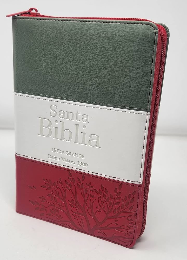 Biblia RVR 1960 Letra Grande Con Indice
