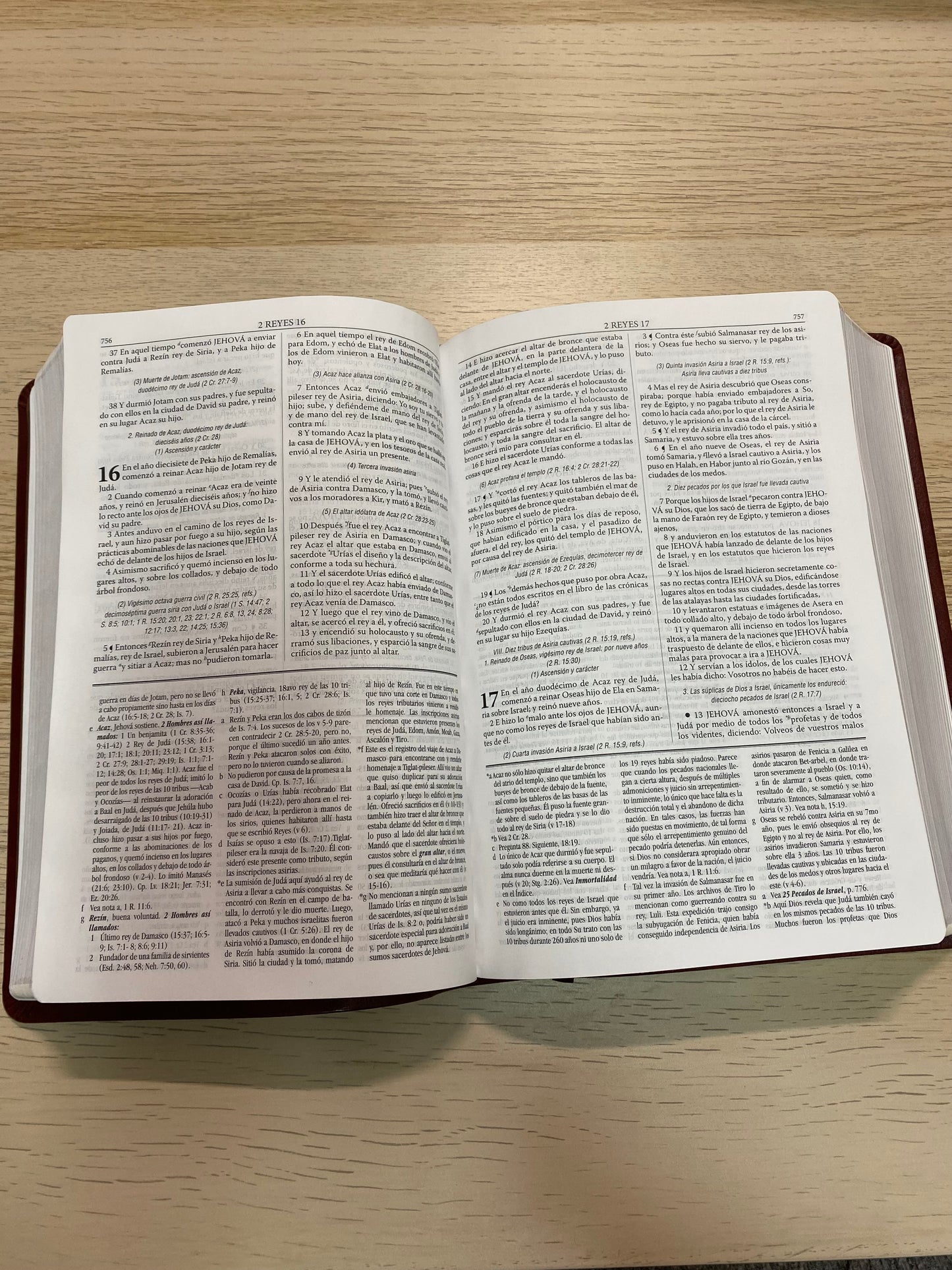 Biblia RVR 1960 De Estudio Dake