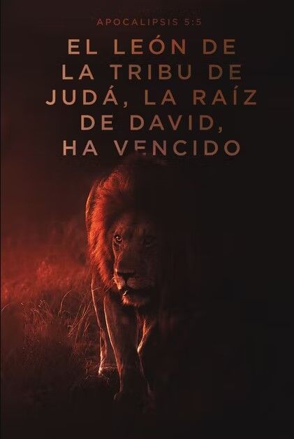 Biblia RVR 1960 Letra Grande Tapa Dura el León
