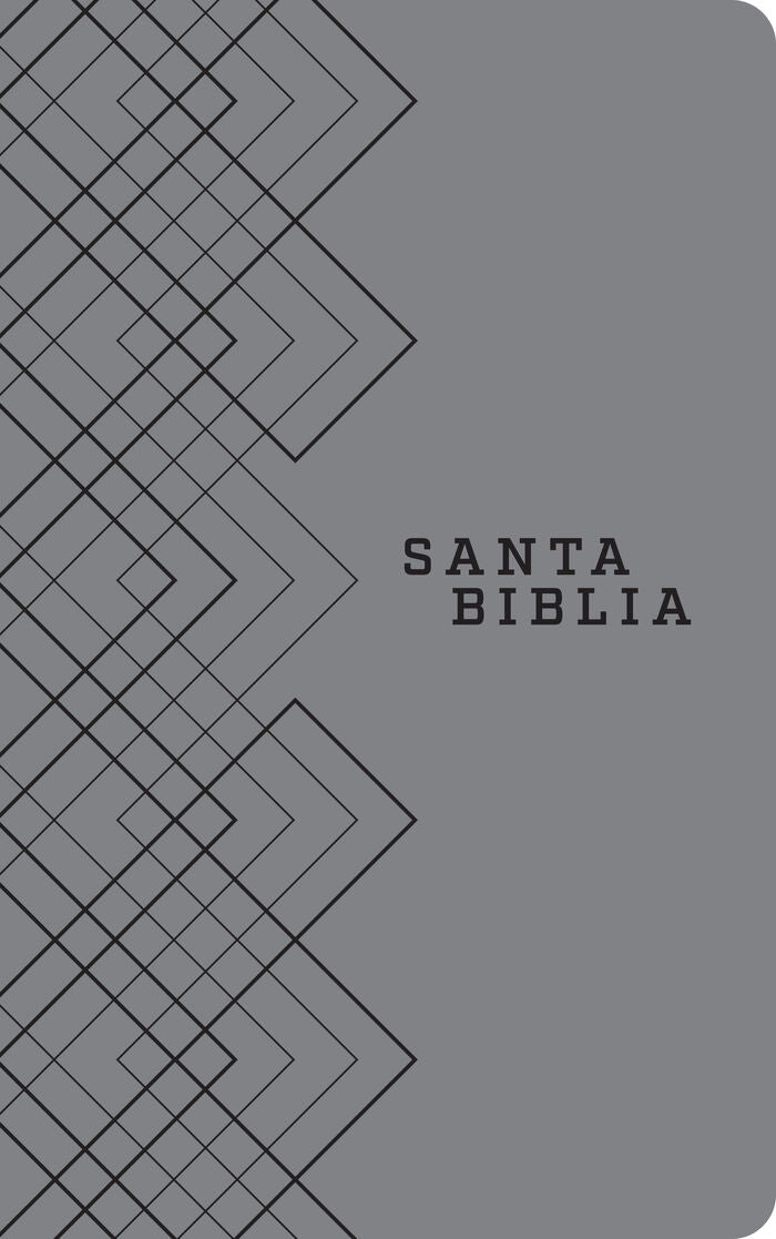 Biblia NTV Gris